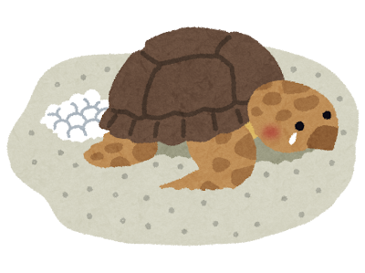 ウミガメの産卵のイラスト