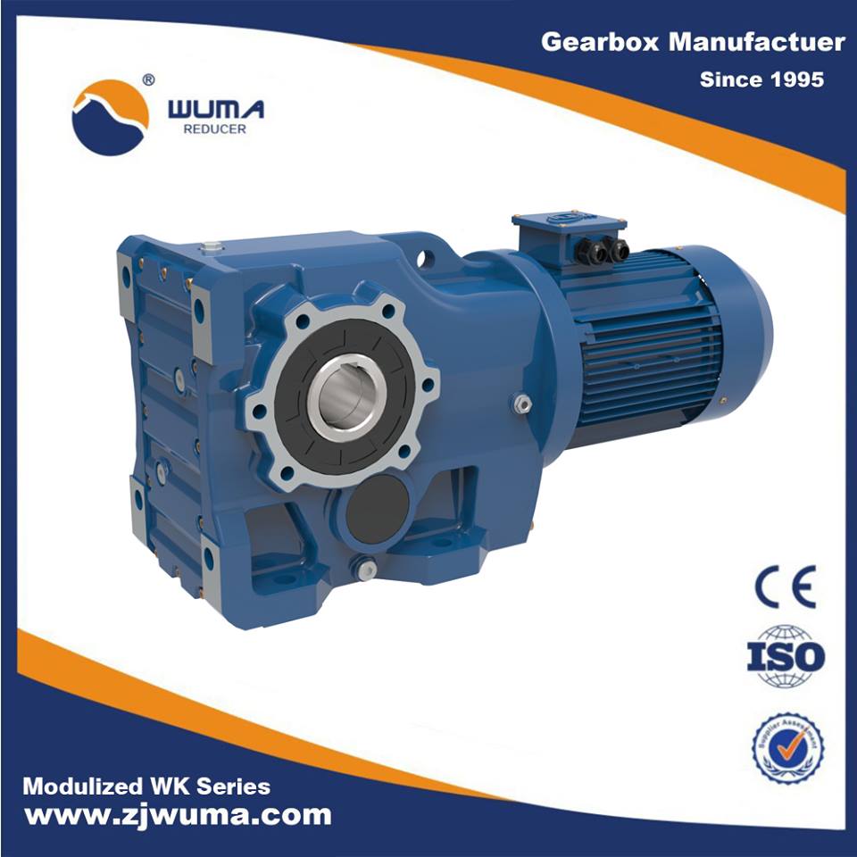 Wuma gear reduction motor,variable speed electric motor,helical gear