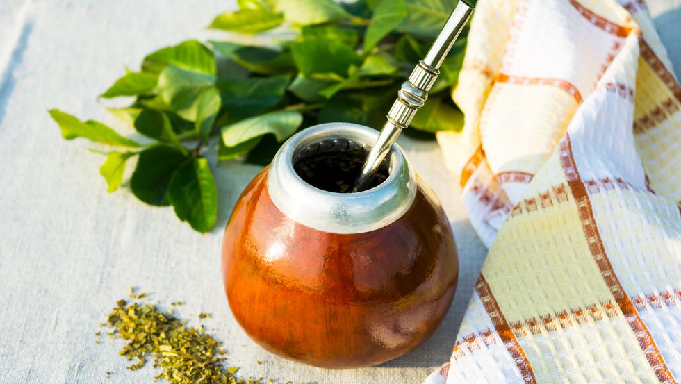 What Is Yerba Mate?