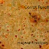 Carrot Paratha