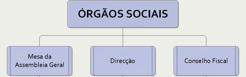 Image result for orgãos sociais