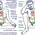 All the Indications, Signs, Activates and Treatments of Hypo and Hyperthyroidism