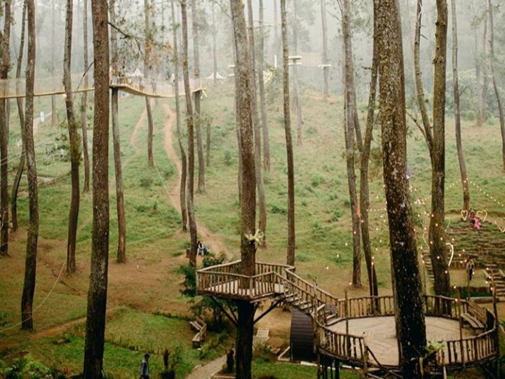 Dowes29.com: Lokasi, Harga Tiket Masuk Orchid Forest ...