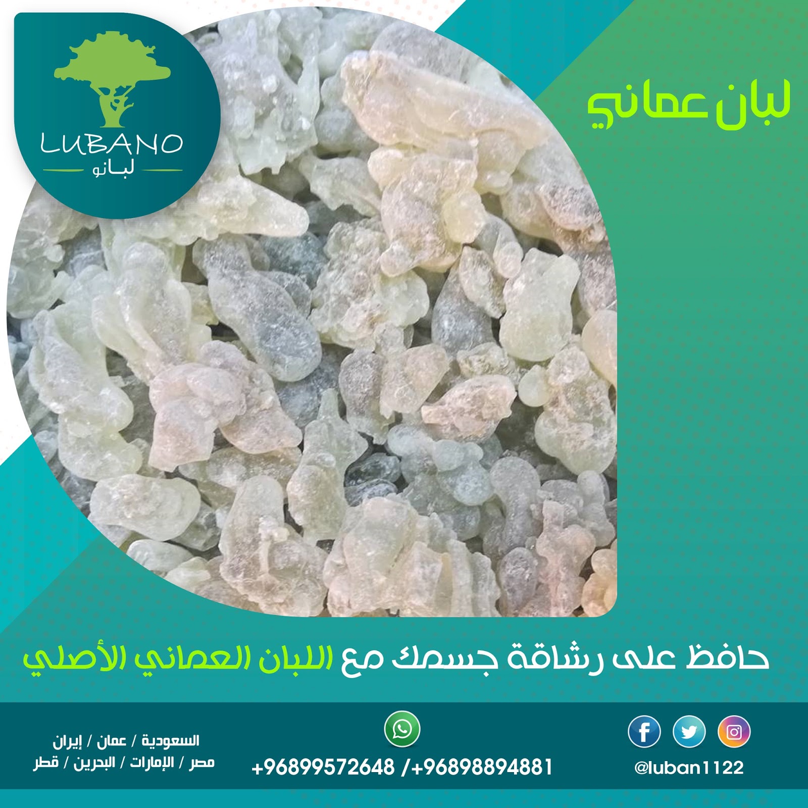 اللبان الحوجري الأصلي أفضل شركة لبان حجري