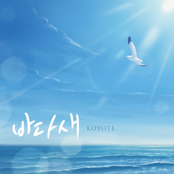 KOYOTE – Sea Bird – Single