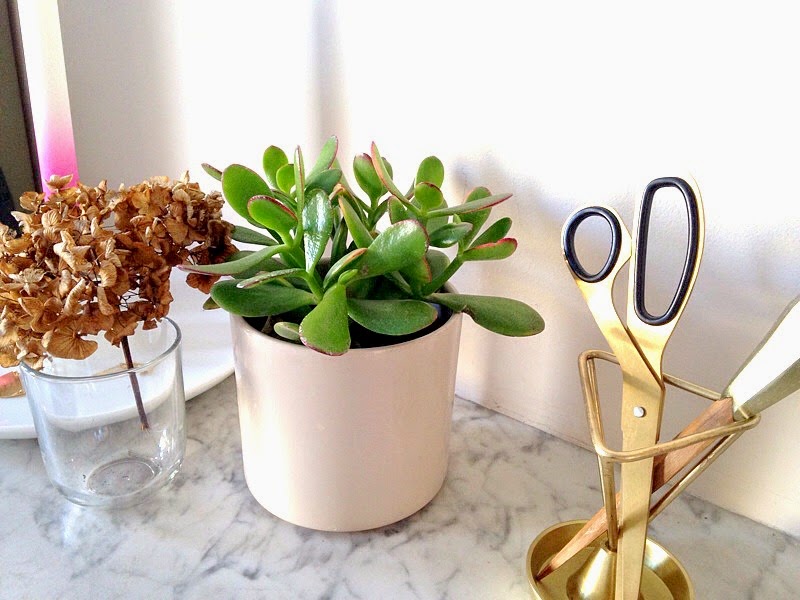 styling the seasons money plants and gold
