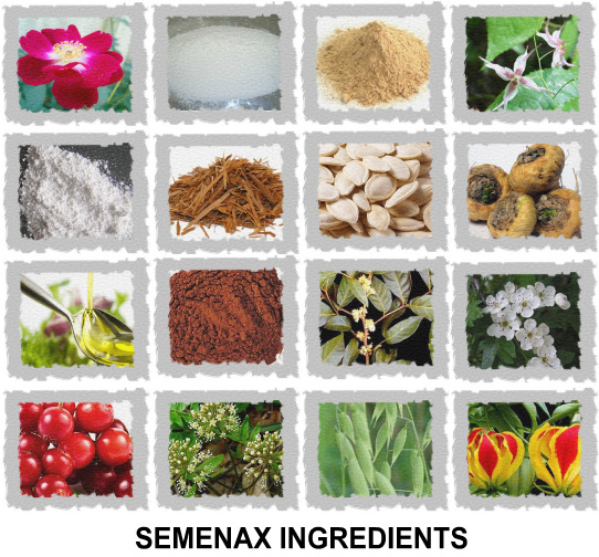 Semenax Ingredients