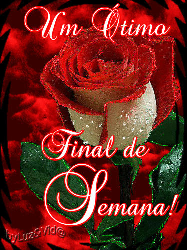 flor%252528MB%252529maryluz.gif