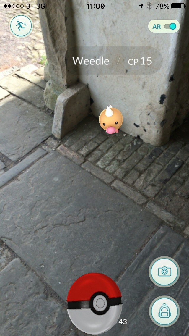 screenshot-of-pokemon-weedle-at-tredegar-house-stables