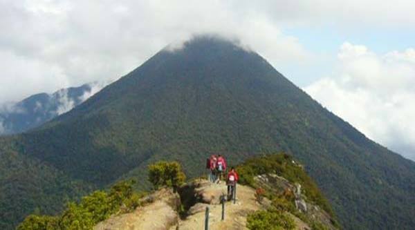 Estimasi Perjalanan & Ongkos Mendaki ke Gunung Gede ...