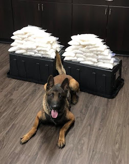 California Police Dog Makes Huge Drug Bust First Day On The Job