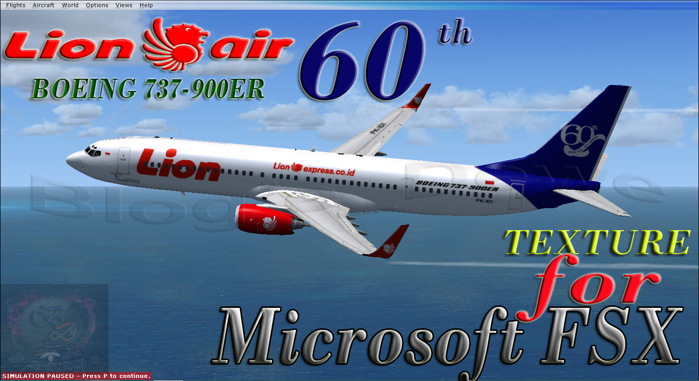 Boeing 737 900er Fsx Download Game