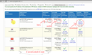 Https vpngate net en. Vpngate.net. VPN Gate таблица. Vpngate.net список открытых серверов. Впн гейт нет.