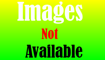 HornSat Hindi on Thaicom 6 at 78.5°E FTA