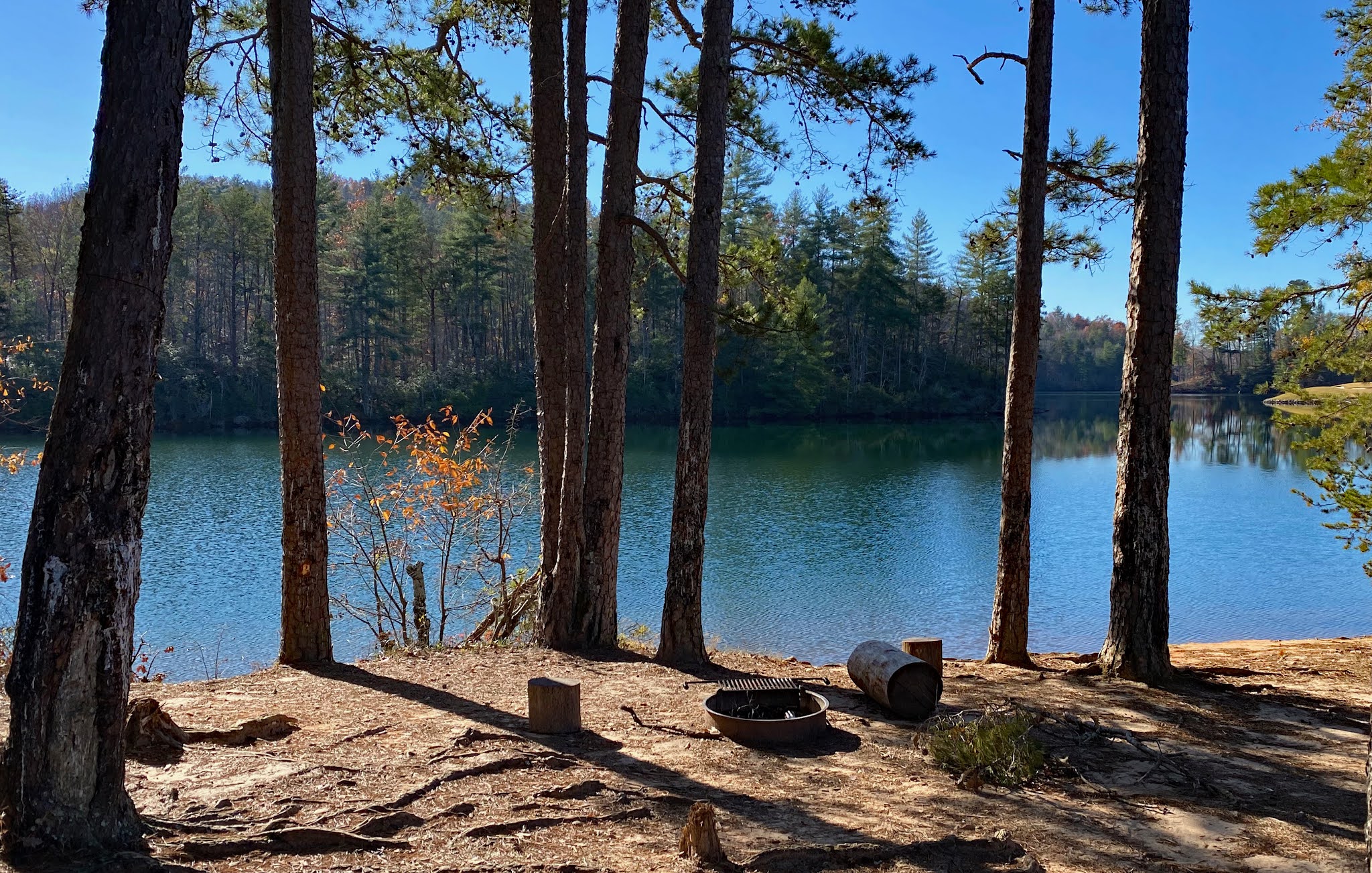 The Adventures of Bushwhack Jack 20201210 KeoweeToxaway State Park
