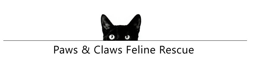 Paws and Claws Feline Rescue