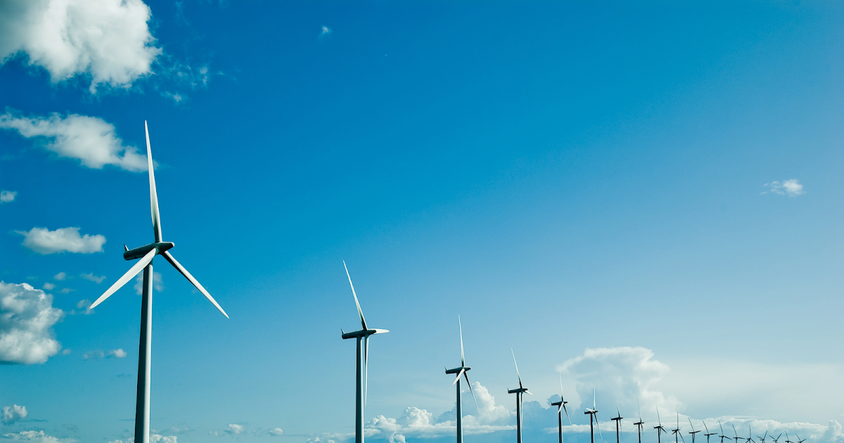 What different kinds of bearings are used in wind turbines?