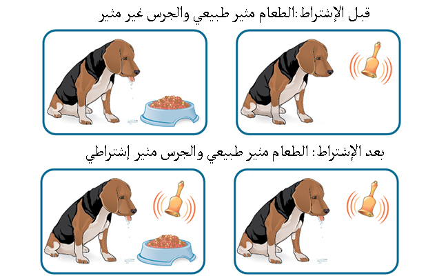 على الشرطي الكلاسيكي مثال التعلم تطبيقات نظرية