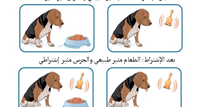 مثال على التعلم الكلاسيكي الشرطي