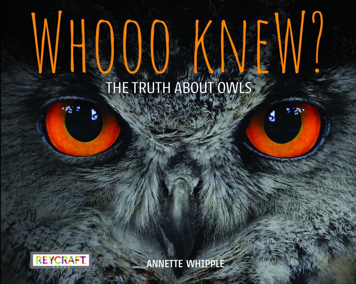 International Owl Day - Annette Whipple, Nonfiction Children's Author