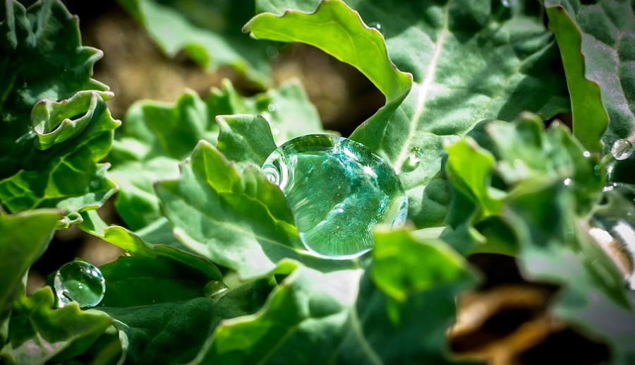 What is Surface Tension Science Universe