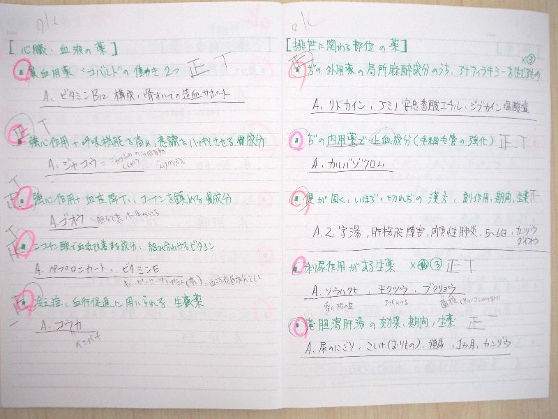 登録販売者試験の勉強法：ノートを有効活用できれば効率が上がる！合格者の実践した簡単な方法