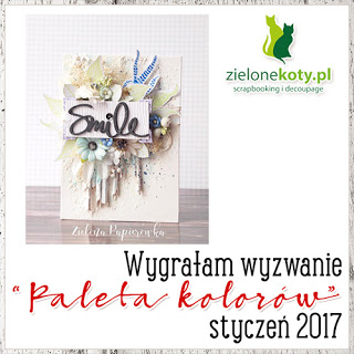 Wygrałam wyzwanie sklepu ZieloneKoty.pl