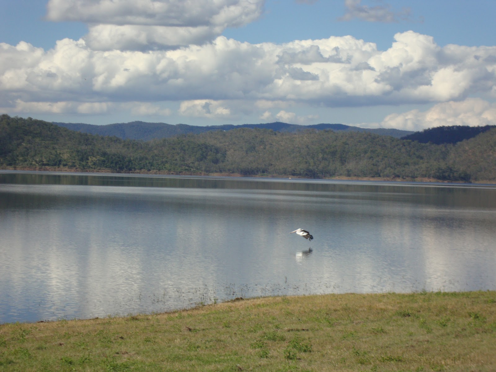 Mik's Random Adventures WIVENHOE DAM