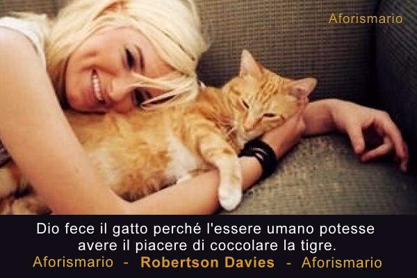 Aforismario Aforismi Frasi E Proverbi Sul Gatto