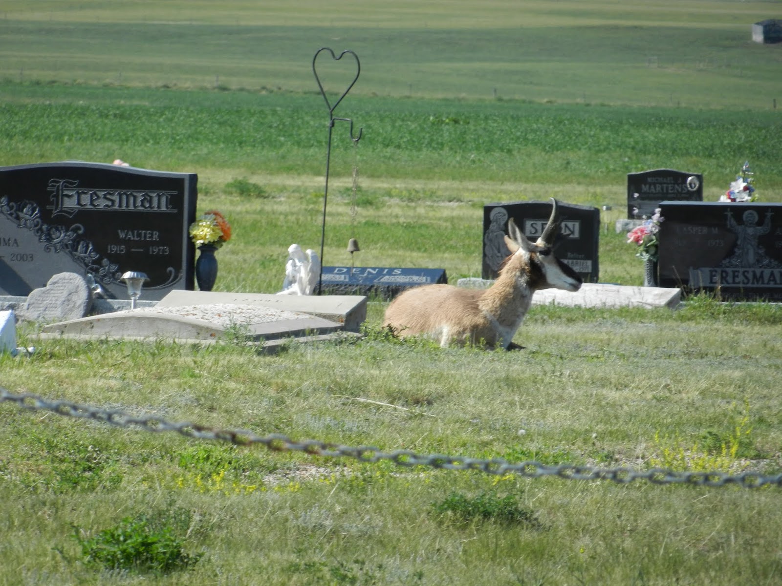 The view from here Fox Valley, Saskatchewan