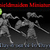 Shieldmaiden Miniatures Funded, with new stretch goals.