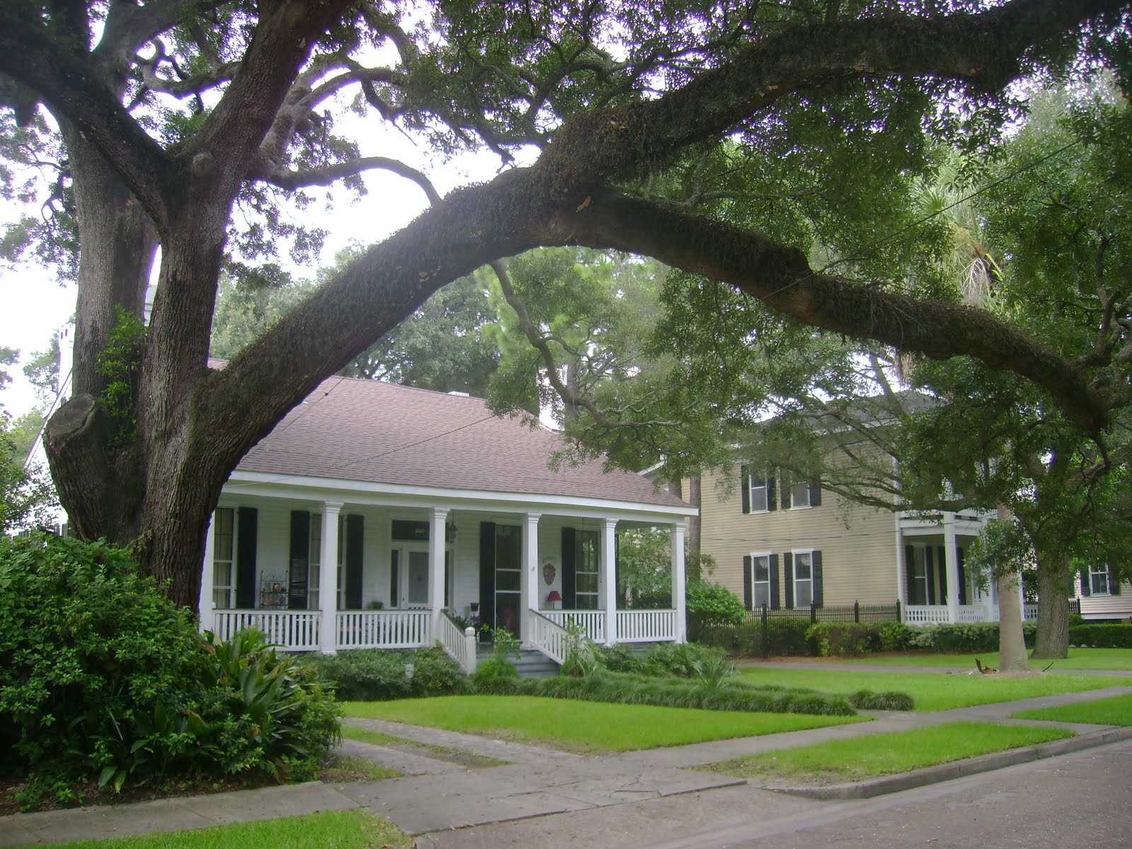 From Rome to Home My life in Mobile, Alabama Washington Square