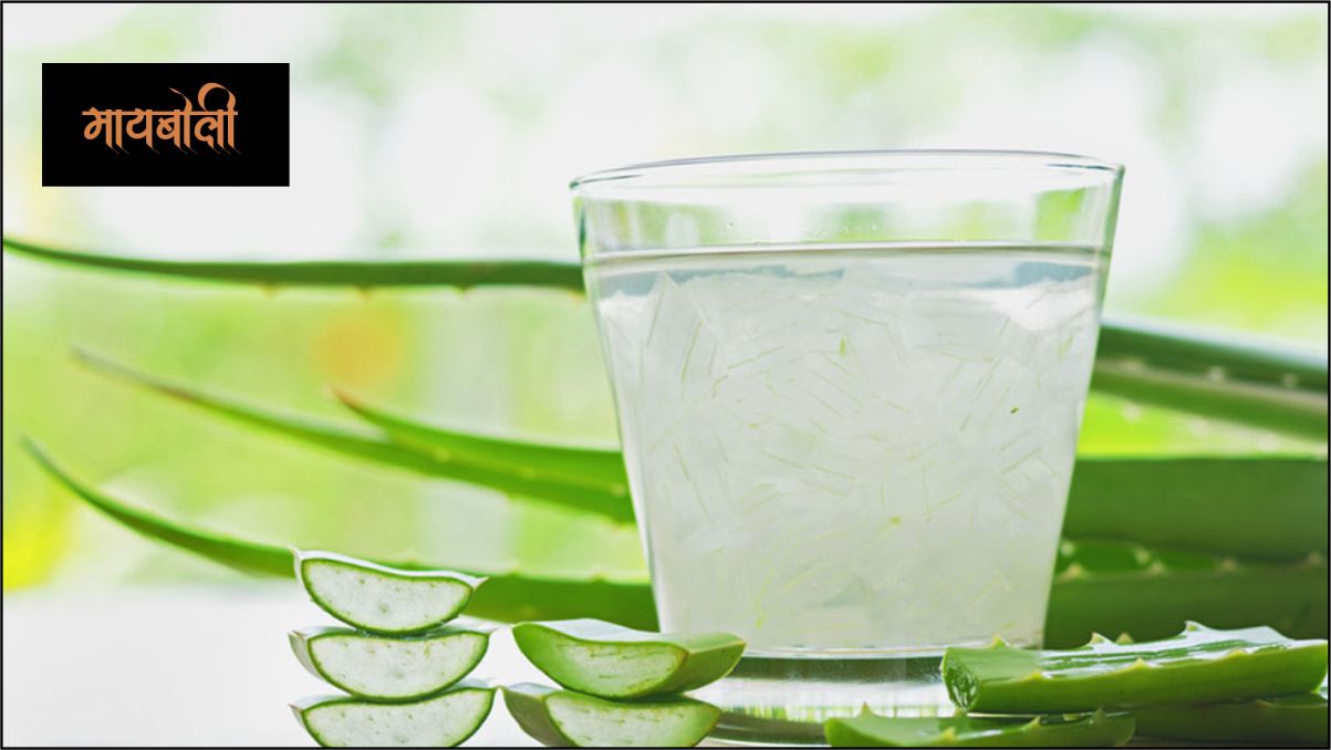 केस गळतीवर घरगुती उपाय - कोरफड केस गळतीवर घरगुती उपाय - कोरफड