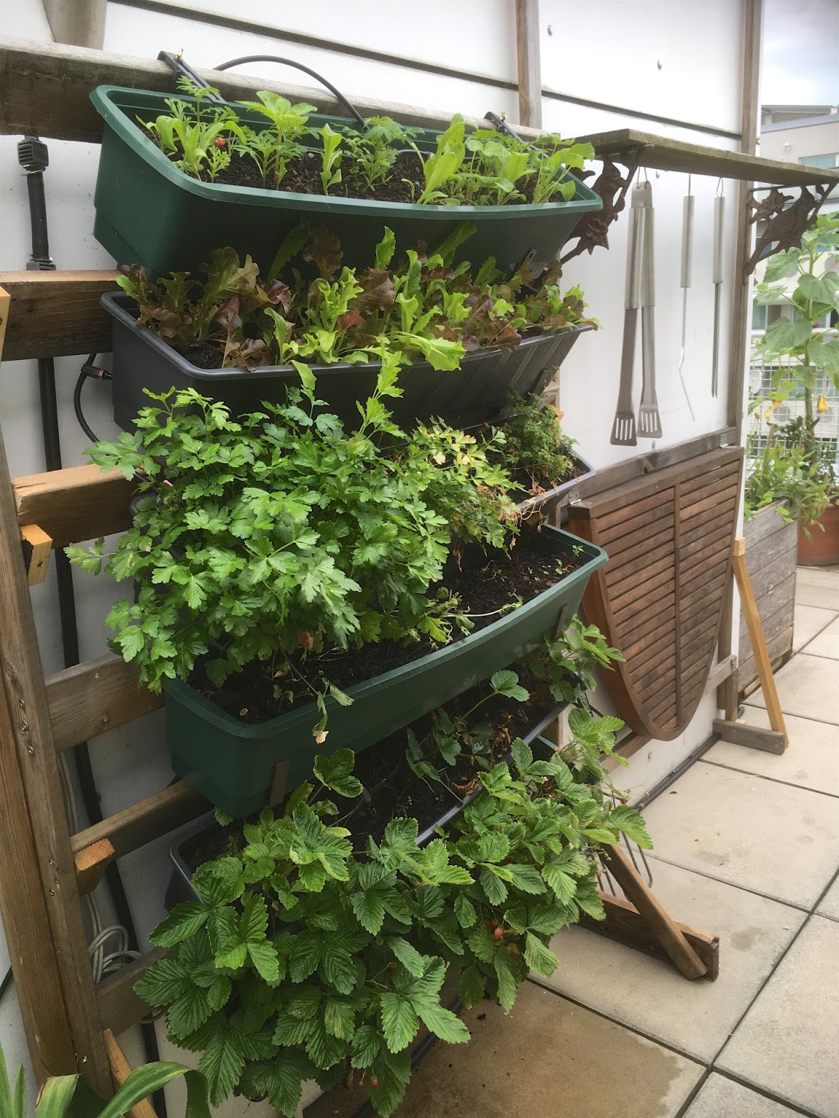 Rund Ums Wetter Xynthia S Kopie Very British My Dear Isn T It