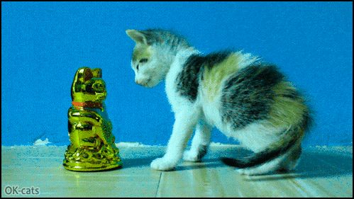 Art Cat GIF • Maneki-neko and cute kitty acting in sync to bring good fortune and happiness to their owner Art Cat GIF • Maneki-neko and cute kitty acting in sync to bring good fortune and happiness to their owner