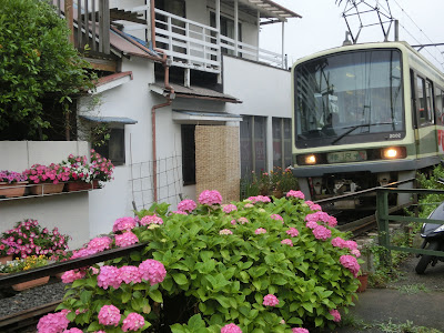 �]�m�d�ƃA�W�T�C