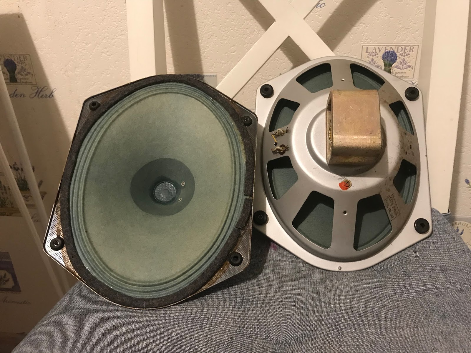 Infrequent Sound [sex.tex] technology Saba Greencone 5898 510 002 5 Ohm [Full Range Alnico Oval