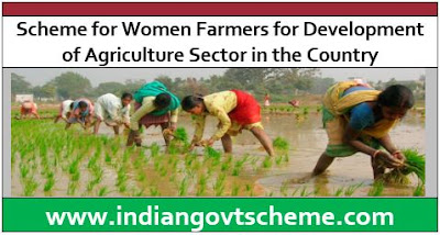 Scheme for Women Farmers