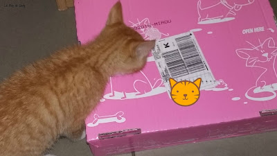 MIAOUBOX