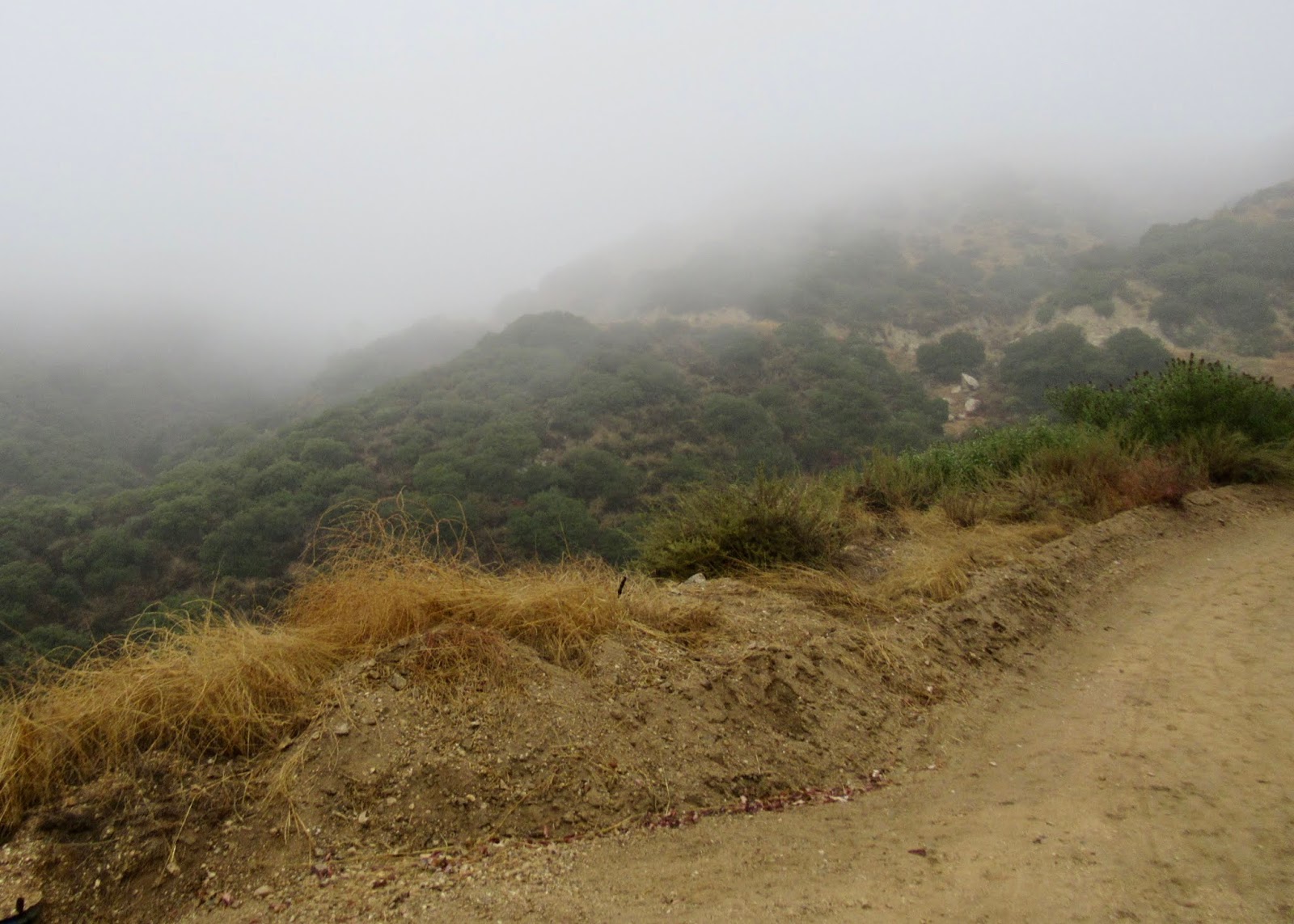 Misty Mountain Hopping