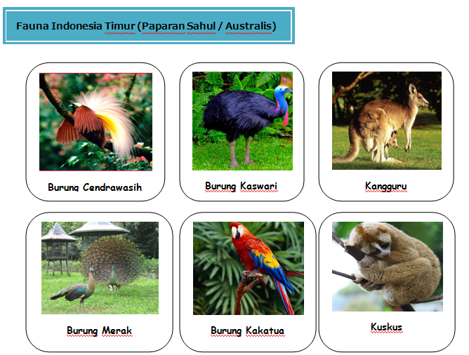 Persebaran Fauna di  Indonesia 