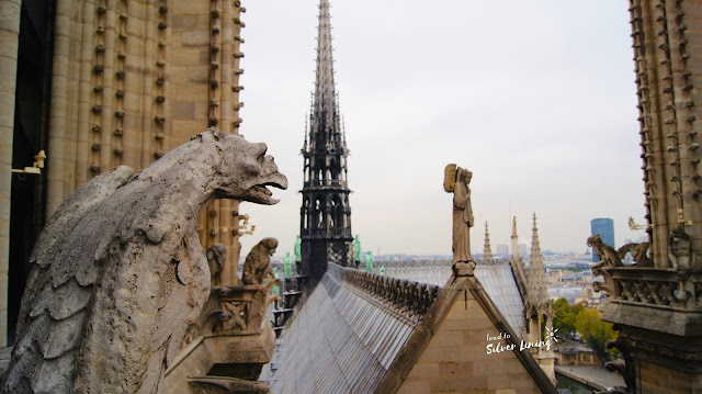 巴黎聖母院教堂 Cathedrale Notre Dame de Paris