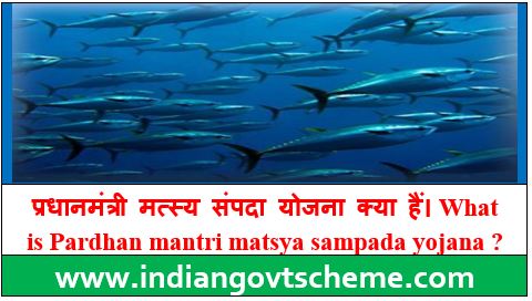 Pardhan mantri matsya sampada yojana