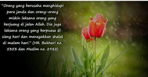 Janda Itu Bukan Lelucon Kurnia Amelia