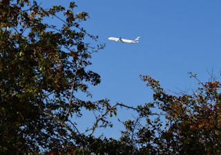 A plane taking off from Newcastle Airport glimpsed through the trees