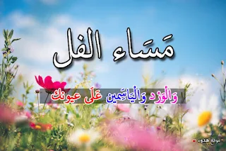 مساء الفل, مساء الخير, صور, بوستات, مكتوب عليها