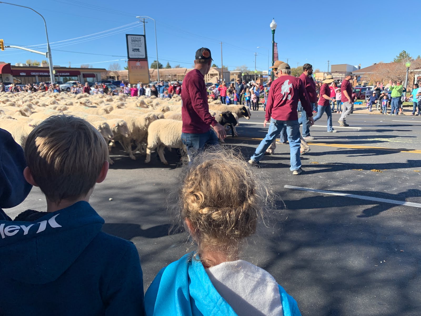 Good Knight Times Sheep Parade Cedar City Livestock and Heritage