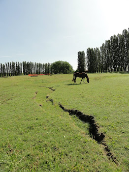 Terremoto in Emilia