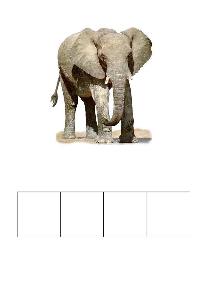 Слоник на слоги. Звуковой анализ слова слон. Звуковой анализ слова слон схема. Карточки для звукового анализа. Схема слона для дошкольников.
