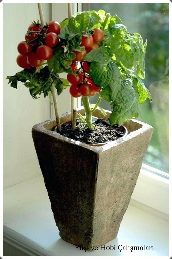 elisi ve hobi calismalari